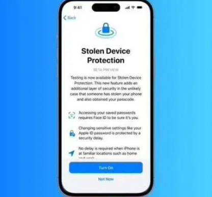 自贡苹果授权维修店分享被盗设备保护功能开启方法 