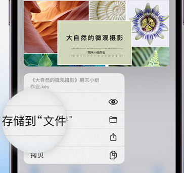 自贡apple维修中心分享iPhone文件应用中存储和找到下载文件