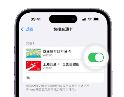 自贡apple维修点分享iPhone上更换Apple Pay快捷交通卡手绘卡面 