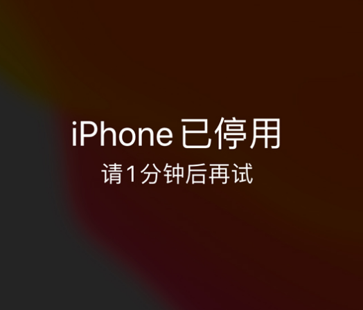 自贡苹果手机维修分享:iPhone 显示“不可用”或“已停用”怎么办？还能保留数据吗？ 