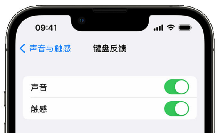 自贡苹果手机维修分享iPhone 14触感键盘使用方法 