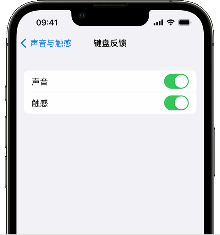 自贡苹果14维修店分享如何在 iPhone 14 机型中使用触感键盘 