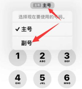 自贡苹果14维修店分享iPhone 14 Pro Max使用副卡打电话的方法 