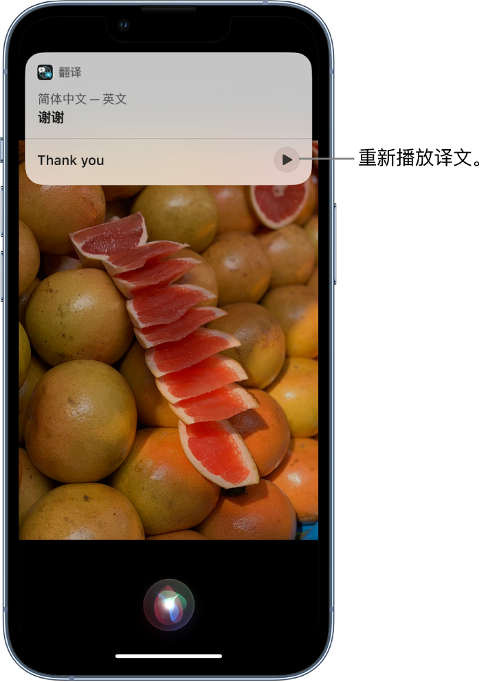 自贡苹果14维修分享 iPhone 14 机型中使用 Siri：了解 Siri 能帮你做什么 