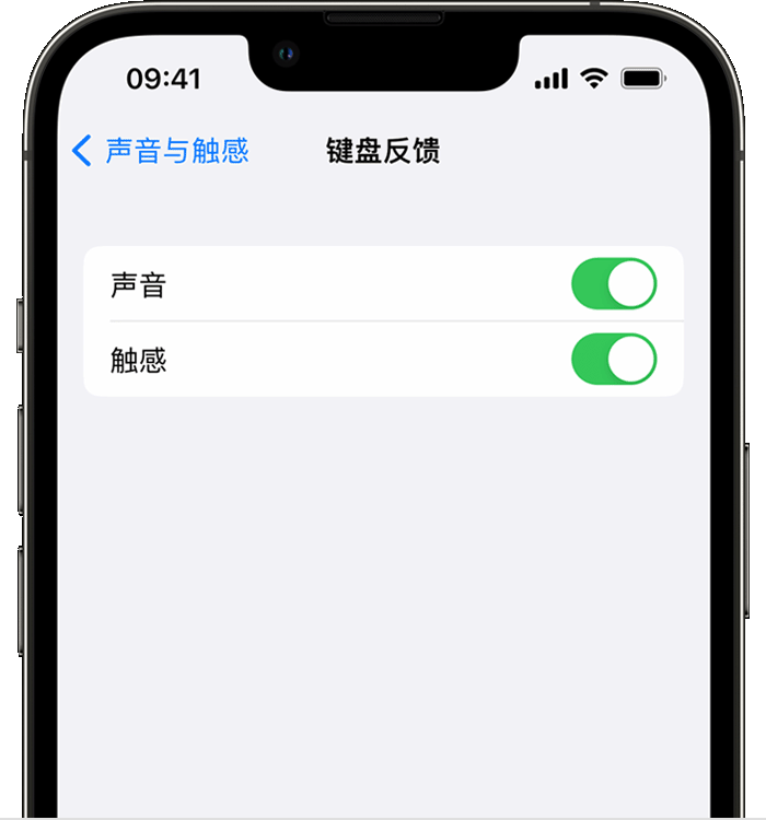自贡苹果14维修分享iPhone 14 系列机型如何开启键盘声音或触感反馈 