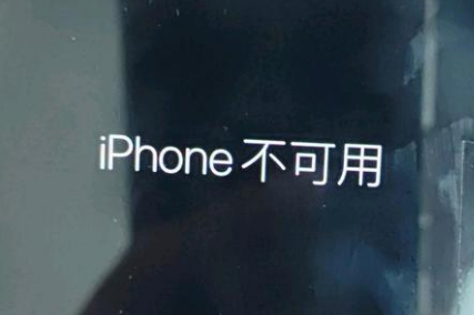 自贡苹果服务网点分享锁屏界面显示“iPhone 不可用”如何解决 