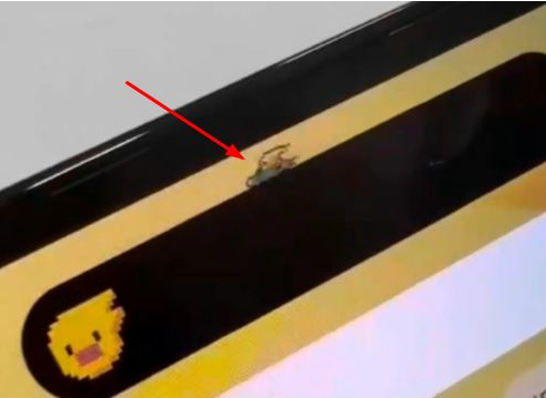 自贡苹果14维修分享iPhone 14 Pro Max灵动岛怎么养宠物 