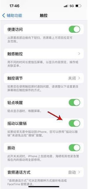 自贡苹果手机维修分享iPhone手机如何设置摇一摇删除文字 