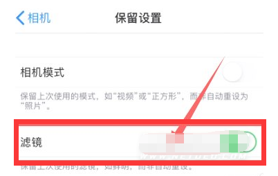 自贡苹果13维修分享iPhone13拍照有绿点是怎么回事 