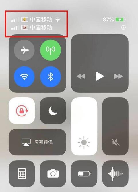 自贡苹果手机维修分享为 iPhone 12 双卡设置标签 